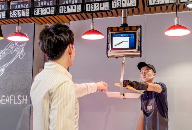 Vertical Hanging Scales, Trusted by everyone | High Dream